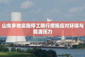 山东多地实施停工限行措施应对环保与能源压力