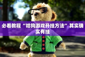 必看教程“哈狗游戏开挂方法”其实确实有挂