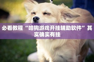 必看教程“哈狗游戏开挂辅助软件”其实确实有挂