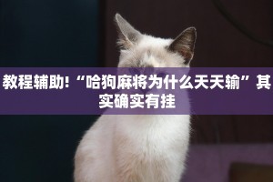 教程辅助!“哈狗麻将为什么天天输”其实确实有挂