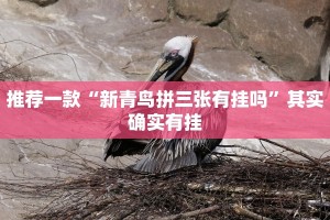 推荐一款“新青鸟拼三张有挂吗”其实确实有挂