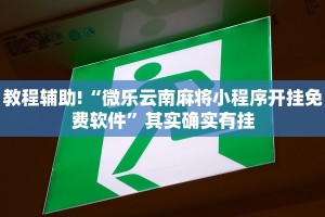 必看教程“海贝之城拼三张透视挂免费下载”其实确实有挂