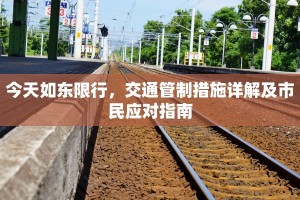 今天如东限行，交通管制措施详解及市民应对指南