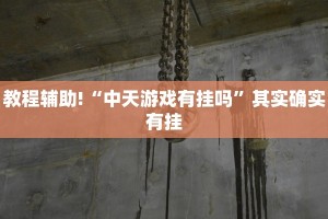 教程辅助!“中天游戏有挂吗”其实确实有挂
