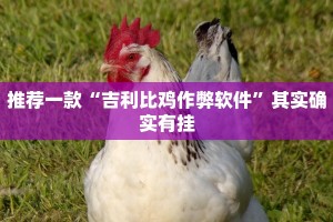 教程辅助!“微乐河北麻将小程序万能挂免费版”其实确实有挂