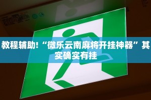 教程辅助!“微乐云南麻将开挂神器”其实确实有挂