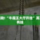 教程辅助!“经典罗松软件透视”其实确实有挂
