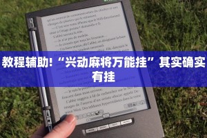 教程辅助!“兴动麻将万能挂”其实确实有挂