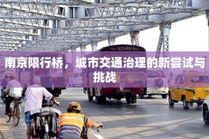南京限行桥，城市交通治理的新尝试与挑战