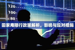 田家庵限行政策解析，影响与应对措施