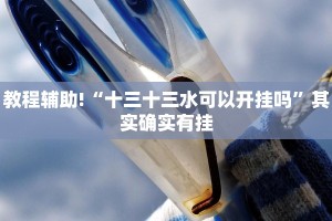 教程辅助!“十三十三水可以开挂吗”其实确实有挂