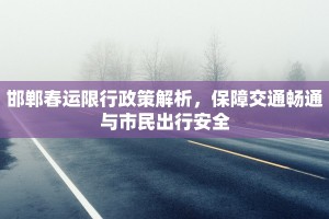 邯郸春运限行政策解析，保障交通畅通与市民出行安全