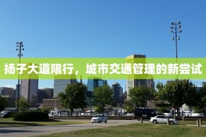 扬子大道限行，城市交通管理的新尝试