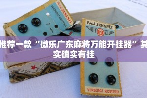 必看教程“好玩贰柒拾辅助软件”其实确实有挂