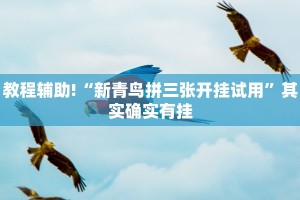 教程辅助!“新青鸟拼三张开挂试用”其实确实有挂