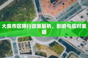 大良市区限行政策解析，影响与应对策略