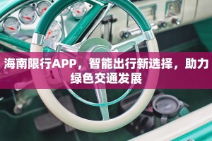 海南限行APP，智能出行新选择，助力绿色交通发展