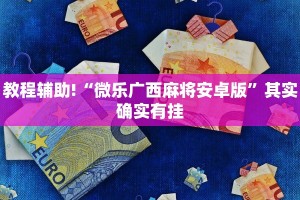 教程辅助!“情怀打七可以开挂吗”其实确实有挂