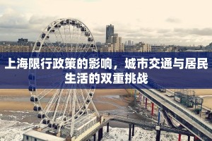 上海限行政策的影响，城市交通与居民生活的双重挑战
