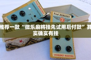 推荐一款“微乐麻将挂先试用后付款”其实确实有挂