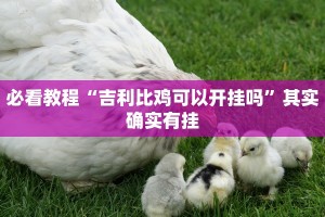 必看教程“吉利比鸡可以开挂吗”其实确实有挂