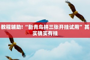 必看教程“打麻将必胜软件免费”其实确实有挂