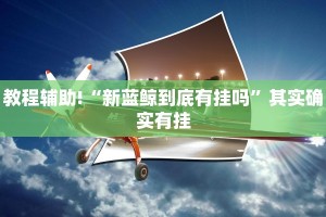 教程辅助!“新蓝鲸到底有挂吗”其实确实有挂