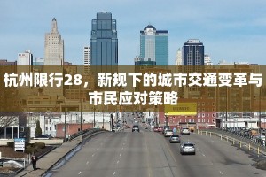 杭州限行28，新规下的城市交通变革与市民应对策略