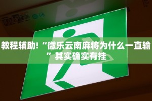 必看教程“微乐湖南麻将小程序必赢神器免费”其实确实有挂