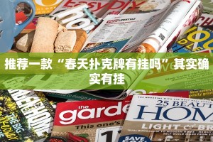 推荐一款“新鸿狐有挂吗”其实确实有挂