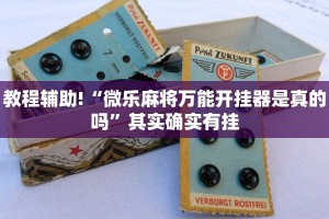 教程辅助!“微乐麻将万能开挂器是真的吗”其实确实有挂