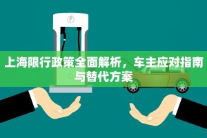 上海限行政策全面解析，车主应对指南与替代方案