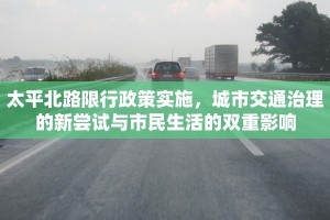 太平北路限行政策实施，城市交通治理的新尝试与市民生活的双重影响