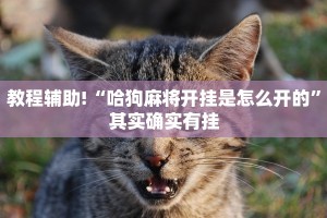 教程辅助!“哪个助手可以透视棋牌”其实确实有挂