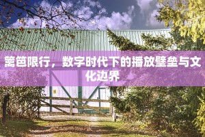 篱笆限行，数字时代下的播放壁垒与文化边界