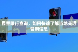 县里限行查询，如何快速了解当地交通管制信息