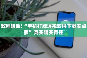 教程辅助!“手机打牌透视软件下载安卓版”其实确实有挂