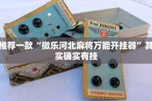 必看教程“随意玩辅助器开挂”其实确实有挂