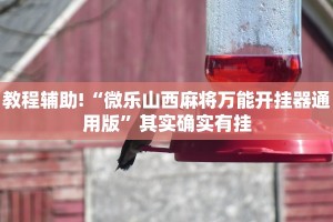 推荐一款“丽水跑得快有没有挂”其实确实有挂