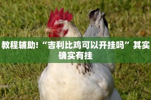 必看教程“阳光岛牌乐汇开挂神器下载”其实确实有挂