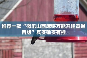 推荐一款“微乐山西麻将万能开挂器通用版”其实确实有挂