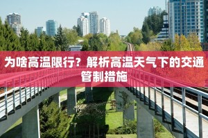 为啥高温限行？解析高温天气下的交通管制措施