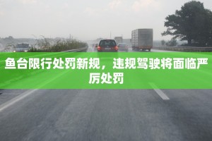 鱼台限行处罚新规，违规驾驶将面临严厉处罚