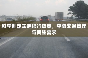 科学制定车辆限行政策，平衡交通管理与民生需求