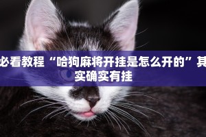 必看教程“哈狗麻将开挂是怎么开的”其实确实有挂