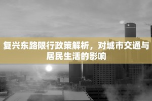 复兴东路限行政策解析，对城市交通与居民生活的影响