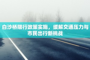 白沙桥限行政策实施，缓解交通压力与市民出行新挑战