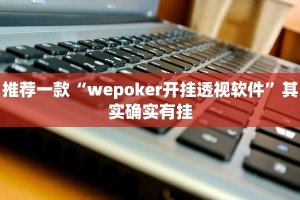 推荐一款“wepoker开挂透视软件”其实确实有挂