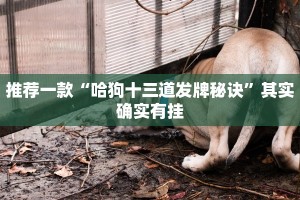 推荐一款“哈狗十三道发牌秘诀”其实确实有挂