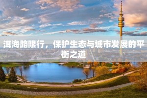 洱海路限行，保护生态与城市发展的平衡之道